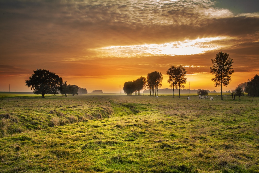 images-2620